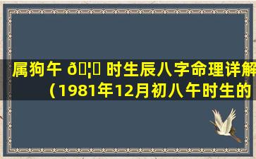 属狗午 🦅 时生辰八字命理详解（1981年12月初八午时生的生辰八字命 🐡 理如何）